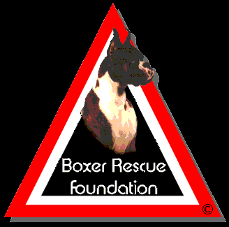 Boxer rescue sale foundation